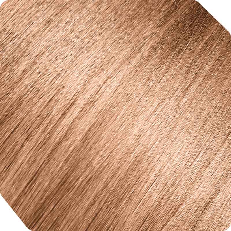 ANDREIA PERMANENT COLOR 0% AMMONIA 10.74 - 100ML