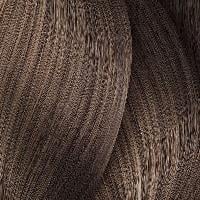 INOA BLOND RESIST 8.21 - 60GR
