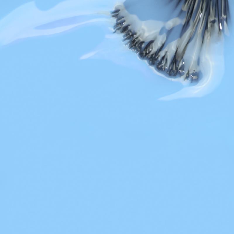 ESMALTE EN GEL INOCOS FL4 MAR DE ROSAS 15ML