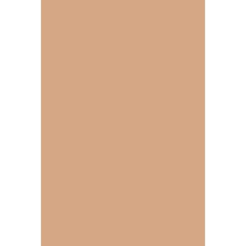 ANDREIA HYBRIDGEL FUSION COLOR H55 - 10.5ML