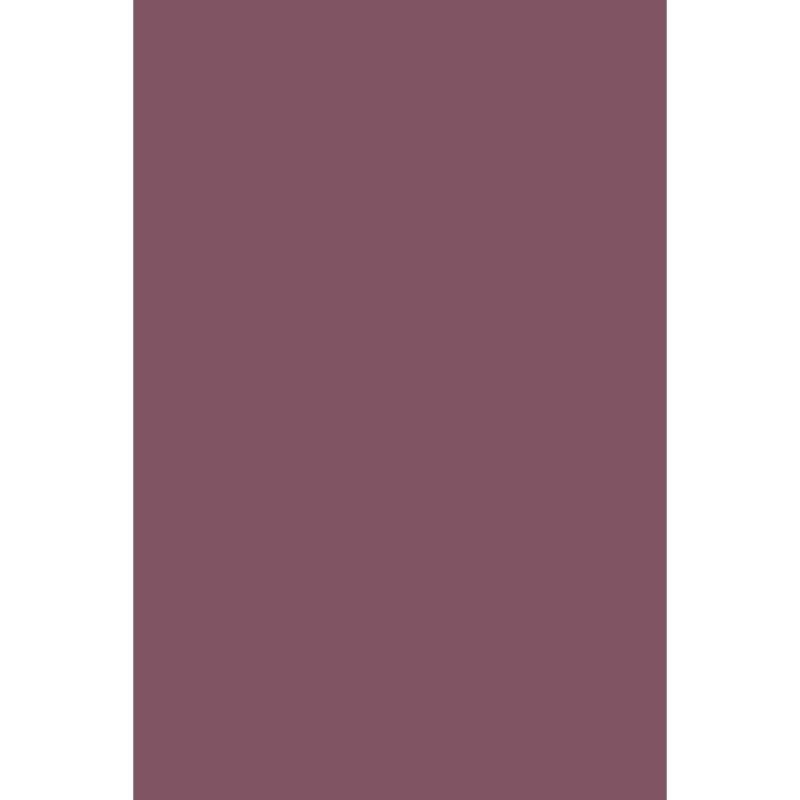 ANDREIA HYBRIDGEL FUSION COLOR H70 - 10.5ML
