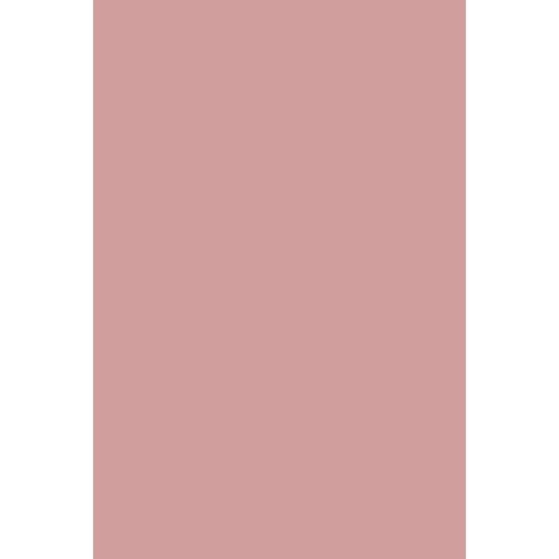 ANDREIA HYBRIDGEL FUSION COLOR H79 - 10.5ML