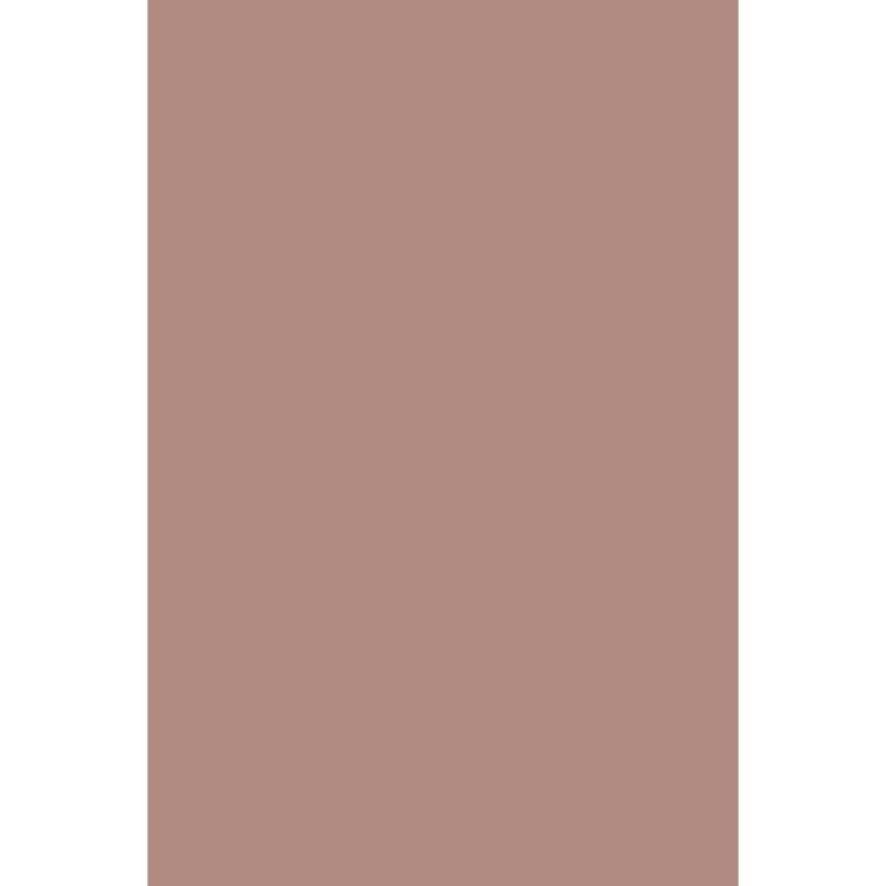 ANDREIA VERNIZ GEL 221 - 10,5ML