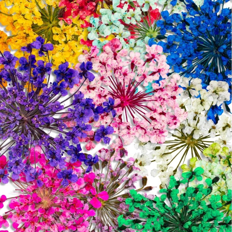 FLORES DE UÑAS INOCOS - ARTE DE UÑAS CON FLORES SECAS