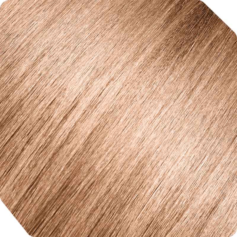 ANDREIA PERMANENT COLOR 10.03 - 100ML